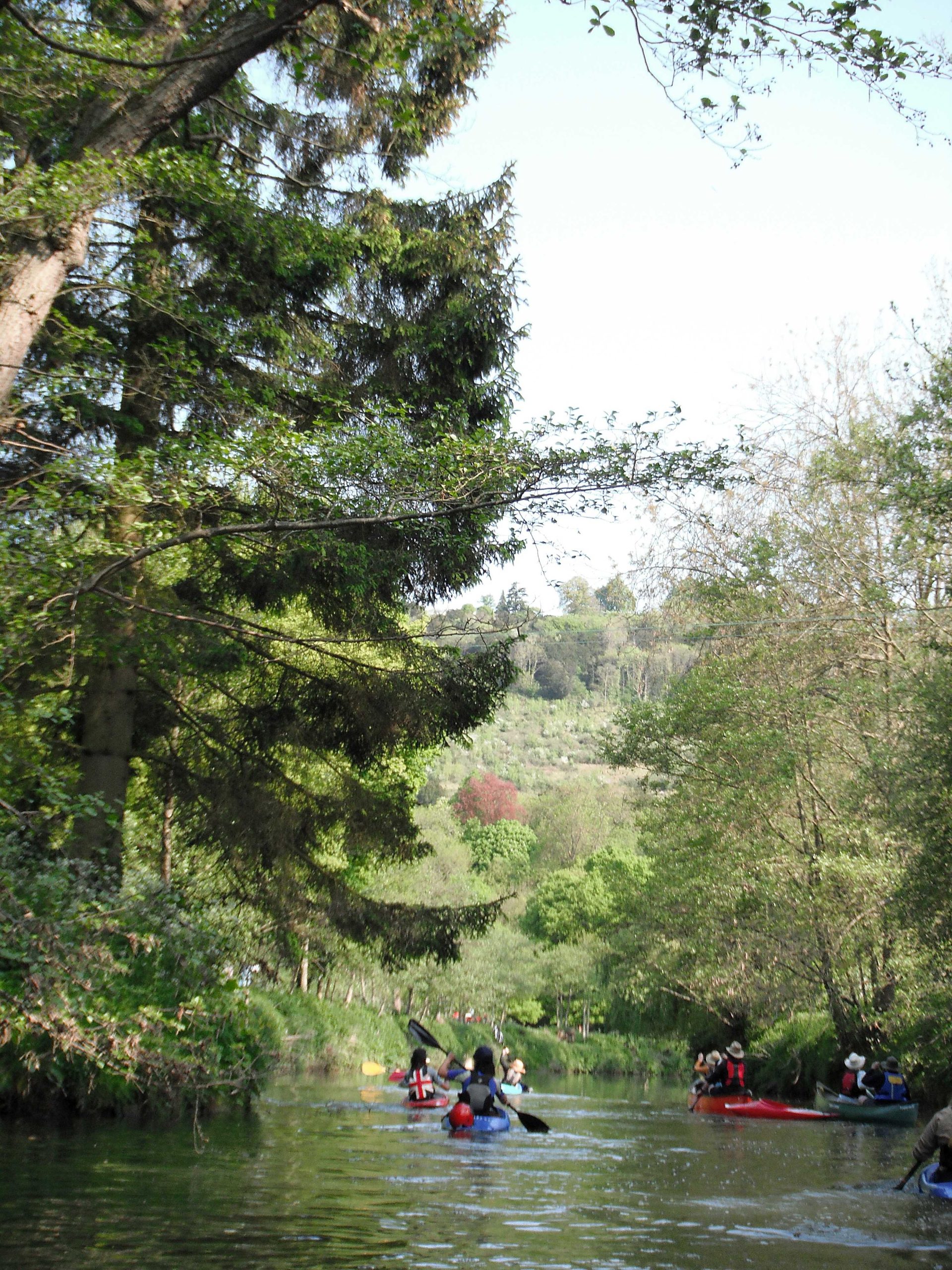Mole River Trip - 22 March
